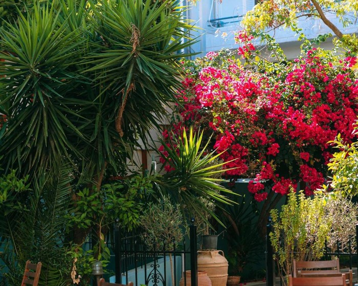 Santa Marina Unique Hotel, Agios Nikolaos, Grčka — fotografija 34