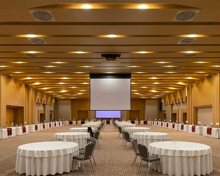 Avra Imperial Hotel, Kolimbari, Grčka — fotografija 33